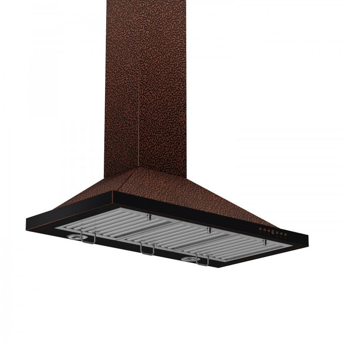 ZLINE Designer Series Wall Mount Range Hood (8KBE)