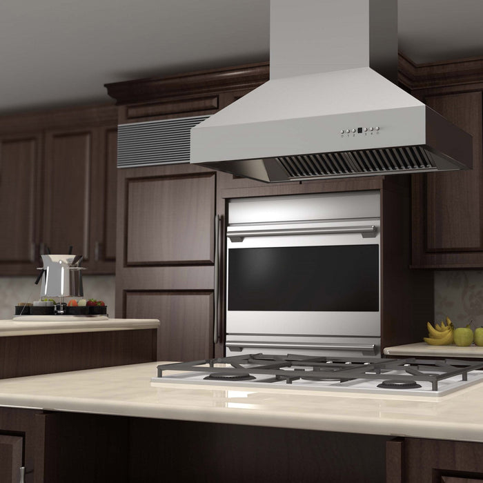 ZLINE Outdoor Approved Island Mount Range Hood in Stainless Steel (697i-304)